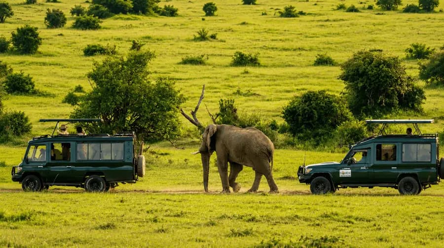 Scenic Kenya travel destination featured on the Kenya eTA visa application portal